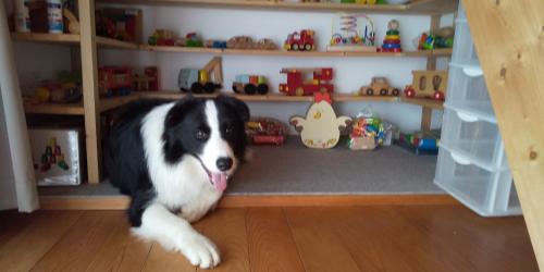 Sarari - Vacation STAY 66365v, Ichihara