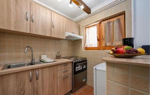 dapur, Lovely Home In Jalzabet in Varaždinske Toplice