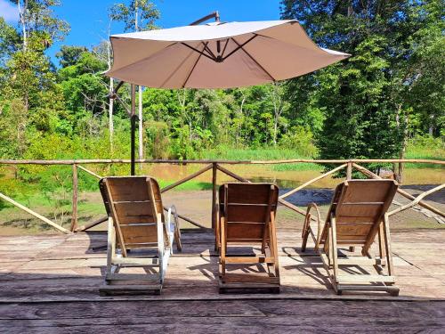 My Amazon Tours