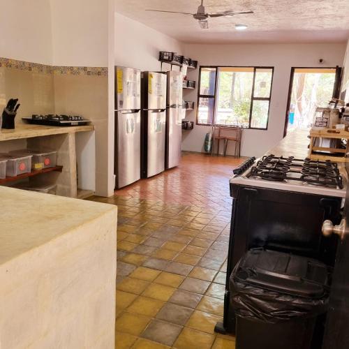 Kitchen, Casa Pura Vida Surf Hostel - Tamarindo Costa Rica in Tamarindo