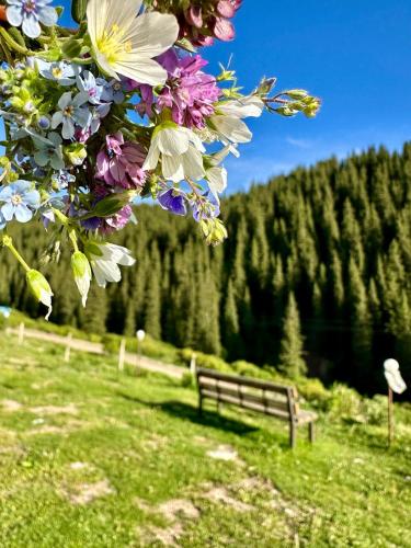 Горный дом ЛЕС и ГОРЫ Dinarsky, Karakol (fotografie 10)