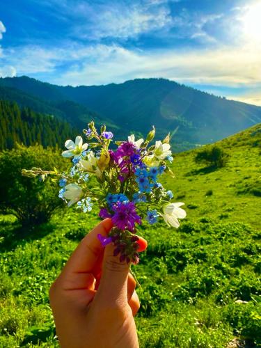 Горный дом ЛЕС и ГОРЫ Dinarsky, Karakol (fotografie 7)