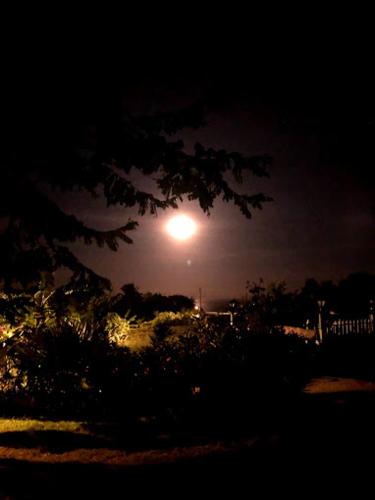 Canaan Beauty Farm B&B - image 2