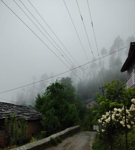 Hidden Haven Homestay