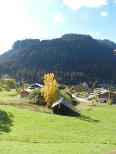Gentianes 64B - Studio proche centre de Châtel, Châtel (zdjęcie 7)