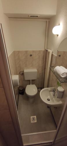 Hotel Oswaldo, Budapest (foto 10)