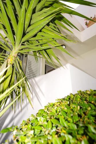 Angela Studios & Apartments - main image
