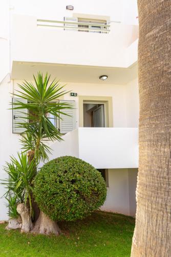Angela Studios & Apartments - image 10