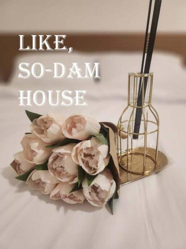 Like,So-dam, Seul