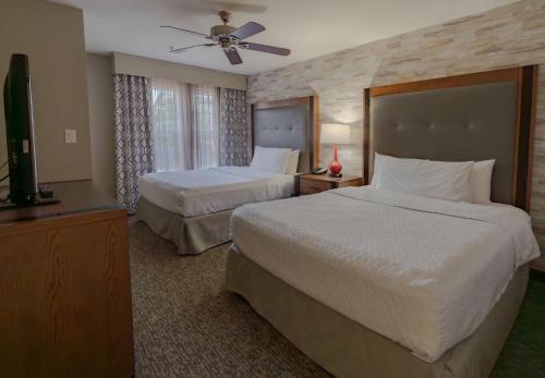 2 queen beds, 1 sofa bed