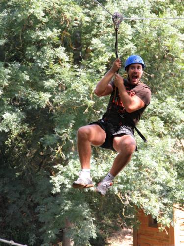 Hôtel Le Bois Joli - image 16