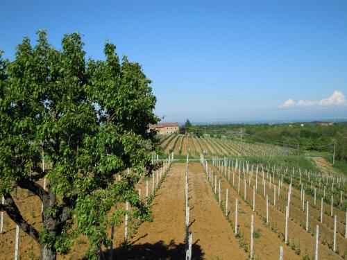  Il Girasole, Mombaruzzo bei Cortiglione