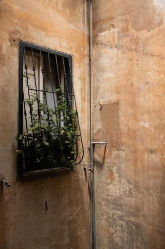 COLOSSEUM VIEW ACCOMODATION - image 13