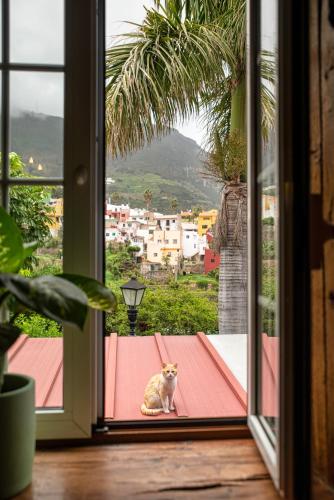 Tulia Guesthouse & Coworking 3