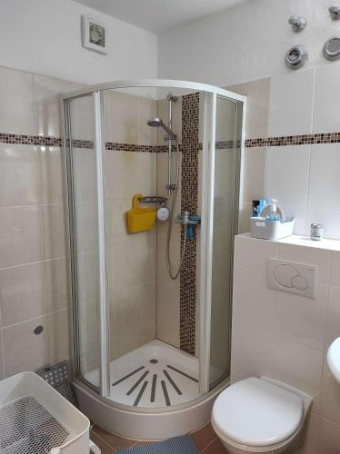 Ferienwohnung Waldwiese - image 3