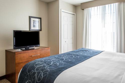 Photo - Comfort Suites Fredericksburg South
