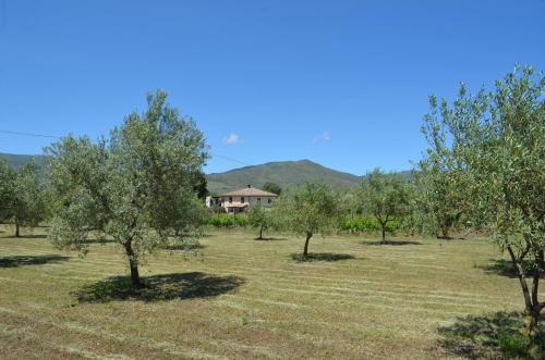 Villa VEDA, Randazzo (foto 7)