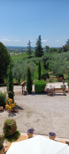 Colle Perazzoni in Montopoli Di Sabina
