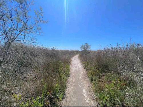 Primera linea de playa