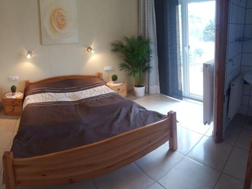 Létesítmények, in the Finca Caroline in La Xara