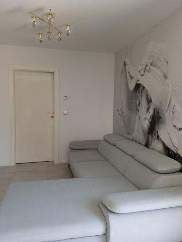 Apartament Monika Dziwnówek Wrzosowo z jacuzzi