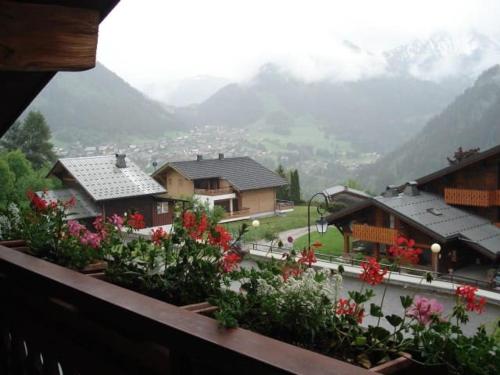 Studio 2 Pers. Châtel, 200m Télésiège, Terrasse, WIFI, Animaux admis - FR-1-676-157, Châtel (foto 8)