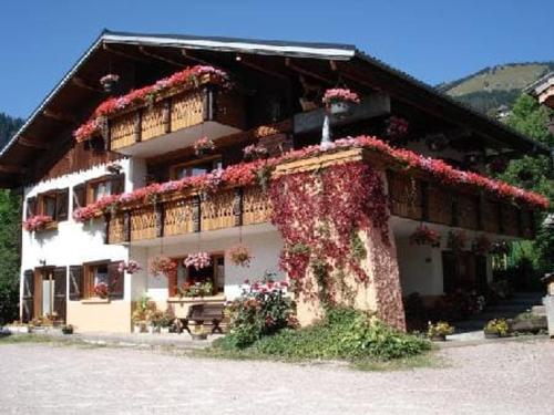 Studio 2 Pers. Châtel, 200m Télésiège, Terrasse, WIFI, Animaux admis - FR-1-676-157, Châtel (foto 9)