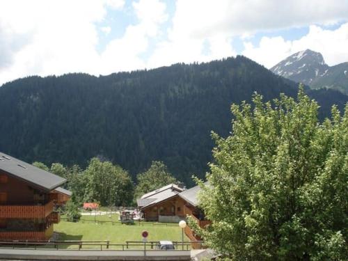 Studio 2 Pers. Châtel, 200m Télésiège, Terrasse, WIFI, Animaux admis - FR-1-676-157, Châtel (foto 10)