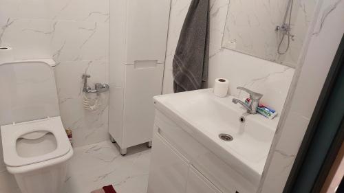 Saisuu in Besh Kungei