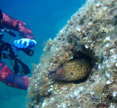 Oriente Camere Oriente Camere