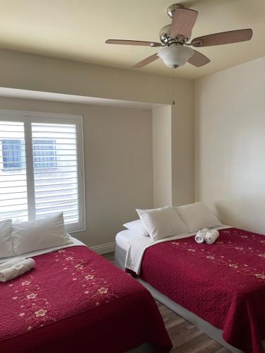 Spacious Private Los Angeles Bedroom with AC & WIFI & Private Fridge near USC the Coliseum Exposition Park BMO Stadium University of Southern California in Los Angeles, USA