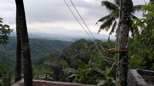 KLM Bungalow Lombok - Jonggat
