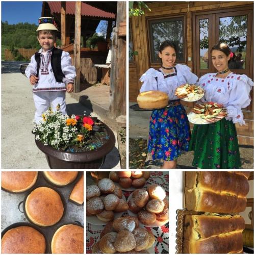 . Pensiunea Ileana Teleptean