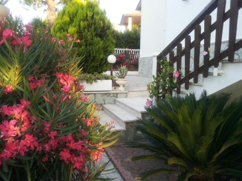 Villa Patrizia B&B