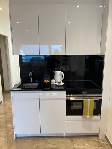  Holiday On The Lake Lugano 6 in Bissone