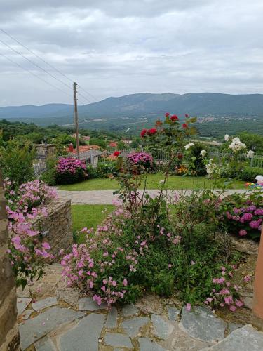 ΑΡΧΟΝΤΙΚΟ ΜΑΝΤΕΙΟ, Manteio (fotografie 10)