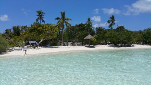 Beach, Rasrana Lodge in Alifu Alifu Atoll