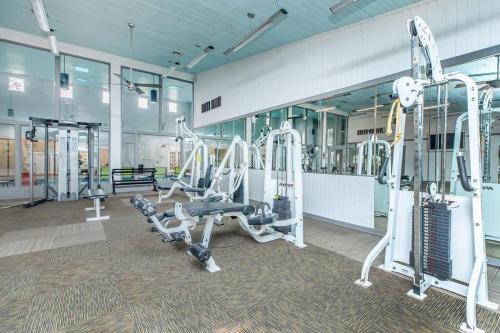 Blue Oasis 1BR Apartment with Premium Amenities in San Antonio, USA