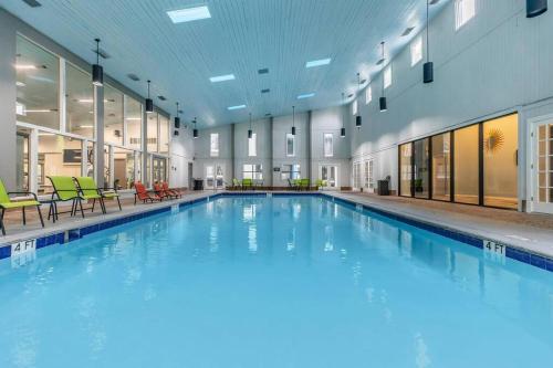 Blue Oasis 1BR Apartment with Premium Amenities in San Antonio, USA