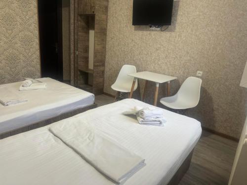 Hotel Skip Room Type - Twin Room Hotel Skip Room Type - Twin Room