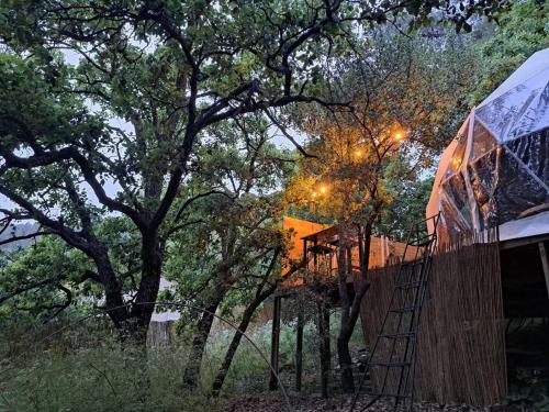 Doma in 郊區/機場