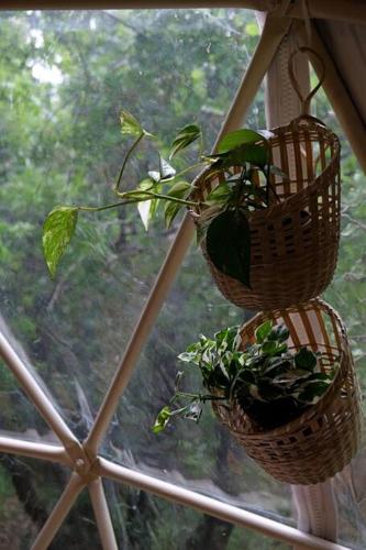 Doma in 郊區/機場