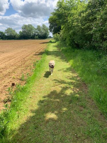 The Dairy, Field House Farm, countryside cottage near York in Catton