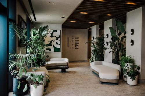 Radream Hotels & Spa 5