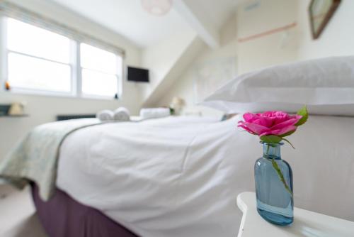 The Mount B&B - image 13
