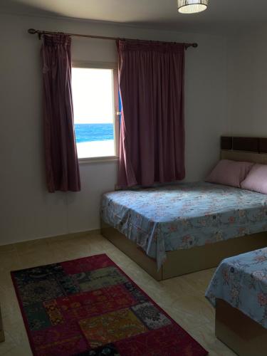 مرسى مطروح - سورتلاج Sortilag 2 family only, Marsa Matruh (foto 6)