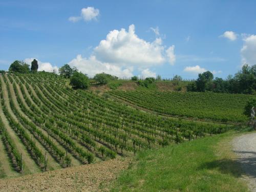 Agriturismo Gaggioli Borgo Delle Vigne