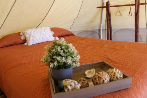 RUSTICO LOUNGE-Tipi With AC in front of the beach in San José del Cabo, Mexico