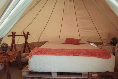 RUSTICO LOUNGE-Tipi With AC in front of the beach in San José del Cabo, Mexico