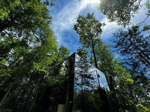 460 Reflections Mirror Cabin in Balsam Grove, USA